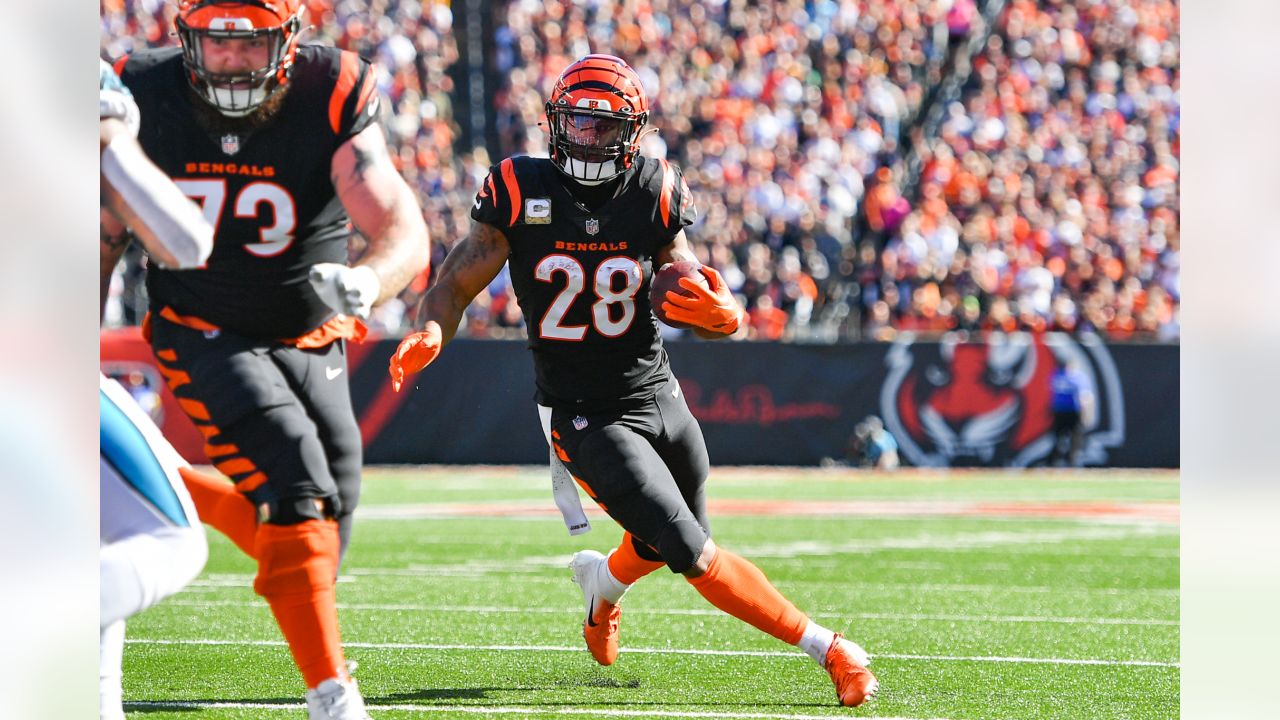 Photos: Best of Bengals-Panthers Game Action