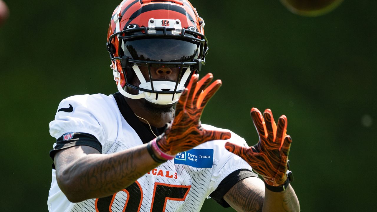 Bengals Notebook: Veterans set the tone at OTAs