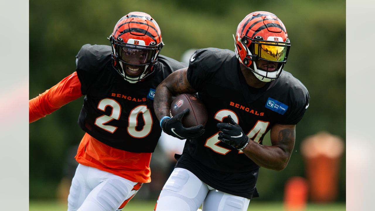 August 8, 2010:Cincinnati Bengals QB Carson Palmer (#9) during the second  session of the Bengals Training Camp in Georgetown Kentucky. (Credit Image:  © John Longo/Southcreek Global/ZUMApress.com Stock Photo - Alamy