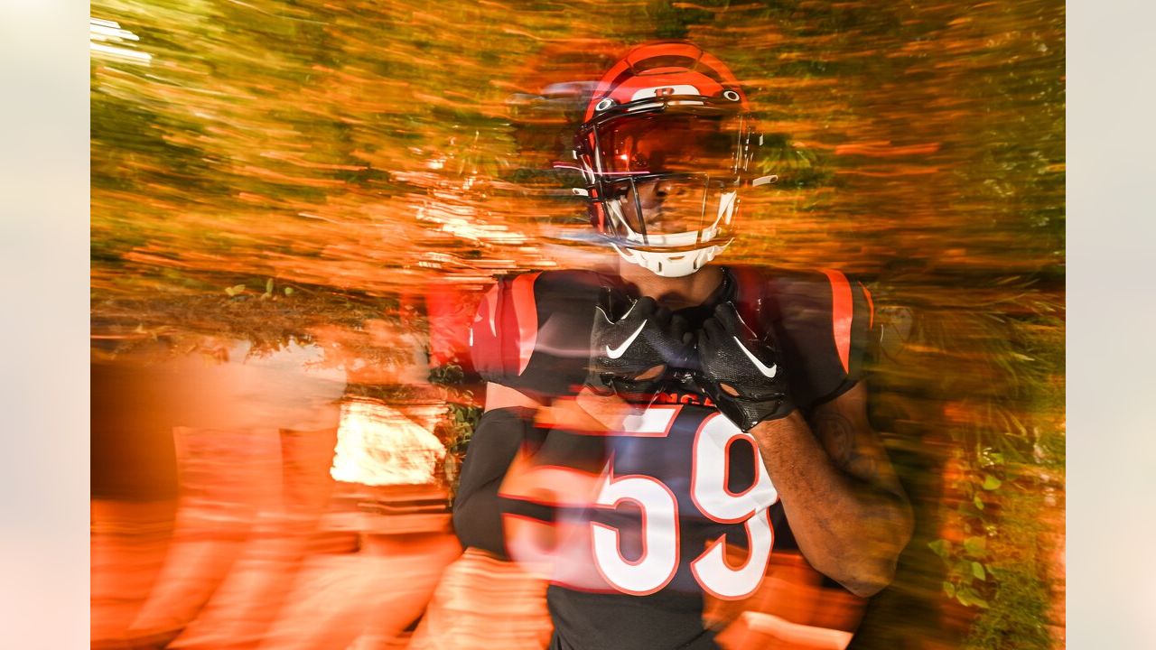 Linebackers  Best of Bengals Media Day 2022