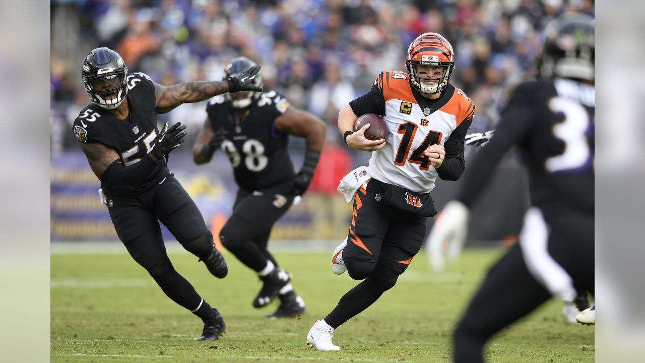 Chicago Bears quarterback Andy Dalton (14) runs the ball against the  Cincinnati Bengals during an NFL