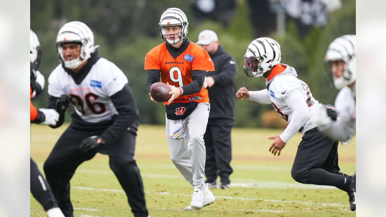 ❄️ ICY ❄️ The @Bengals are bringing back their White Bengal look today in  Pittsburgh