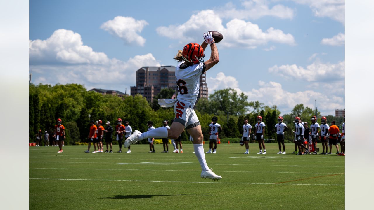 Check out our photos from Green Bay Packers 2023 training camp on July 31