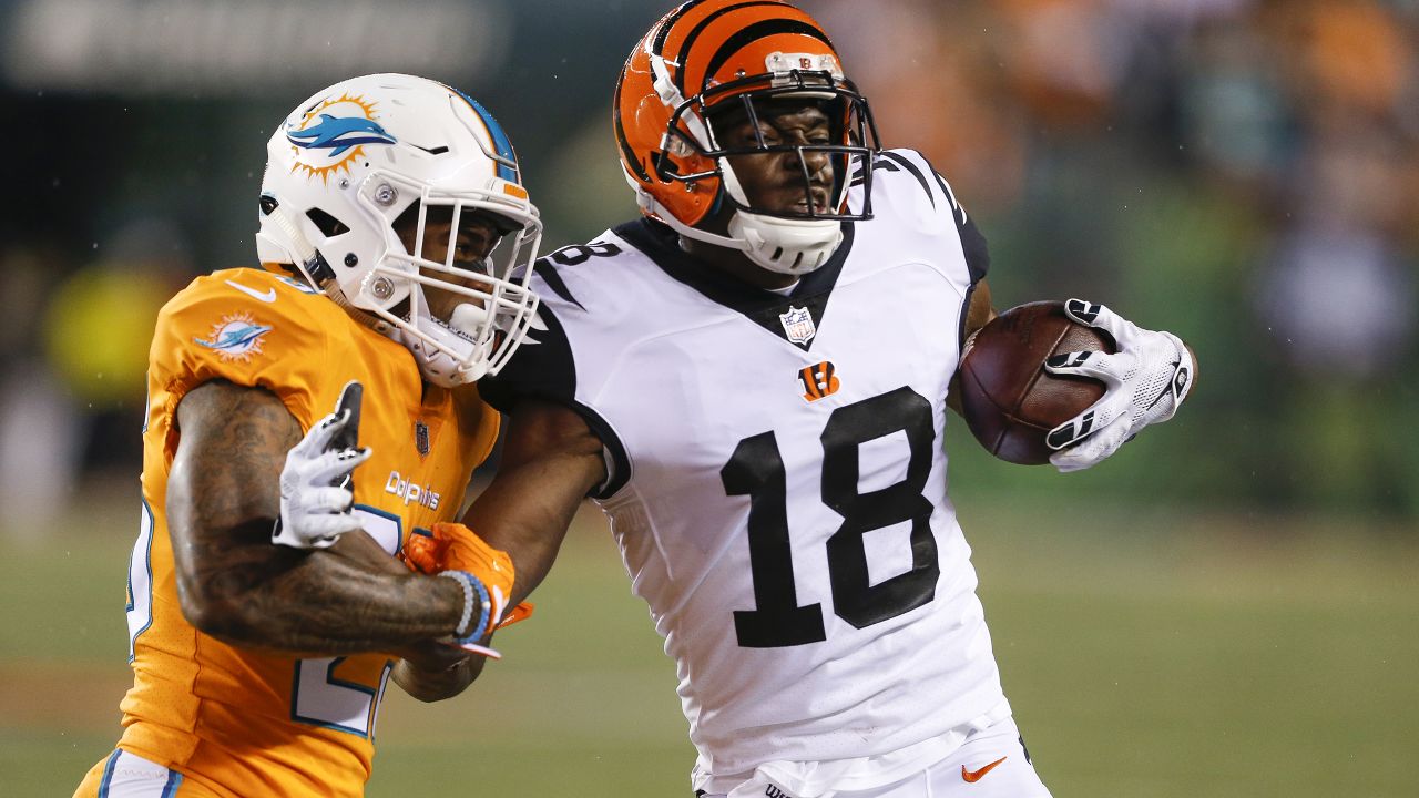 Cincinnati Bengals vs. Miami Dolphins