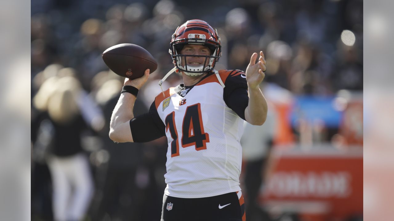 Bengals 10-17 Raiders (Nov 17, 2019) Final Score - ESPN