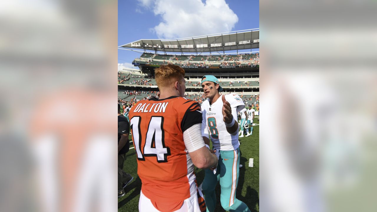 Photos: Cincinnati Bengals vs. Miami Dolphins, Oct. 7