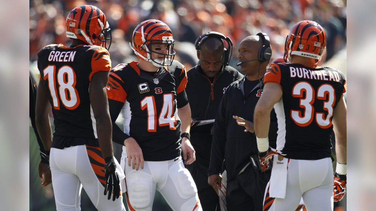 Bengals vs. Dolphins: Sanzenbacher to see more snaps if Sanu sits - Cincy  Jungle