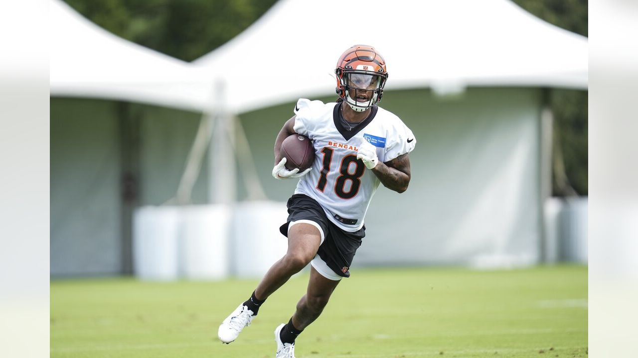 Gallery: Cincinnati Bengals training camp, 8/18