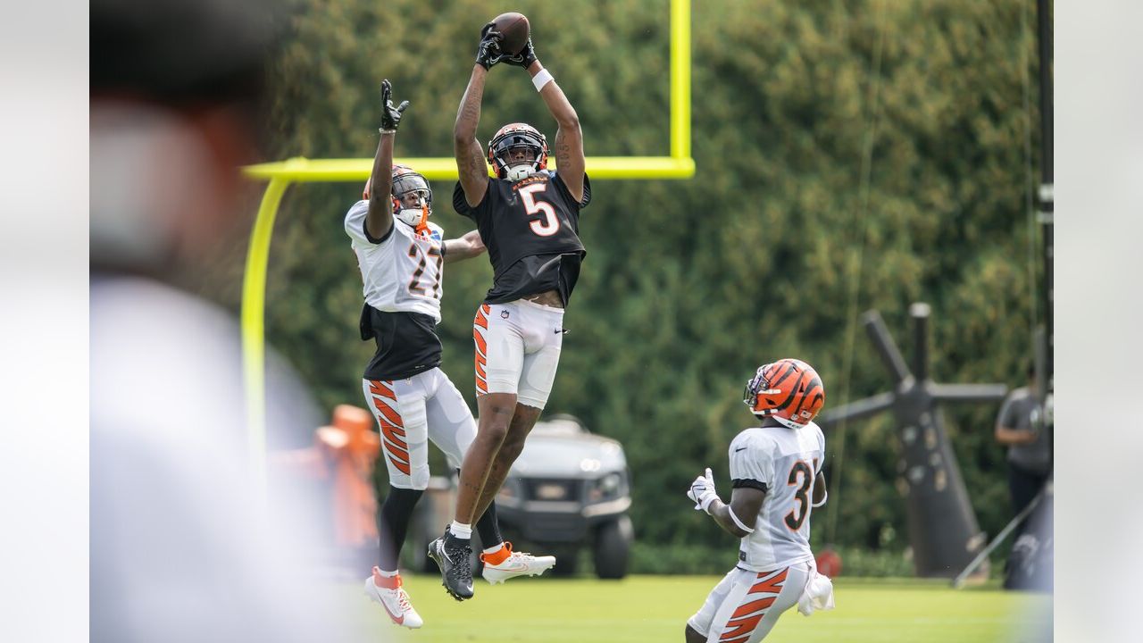 Photos: Cincinnati Bengals hold first scrimmage in training camp, 8/21