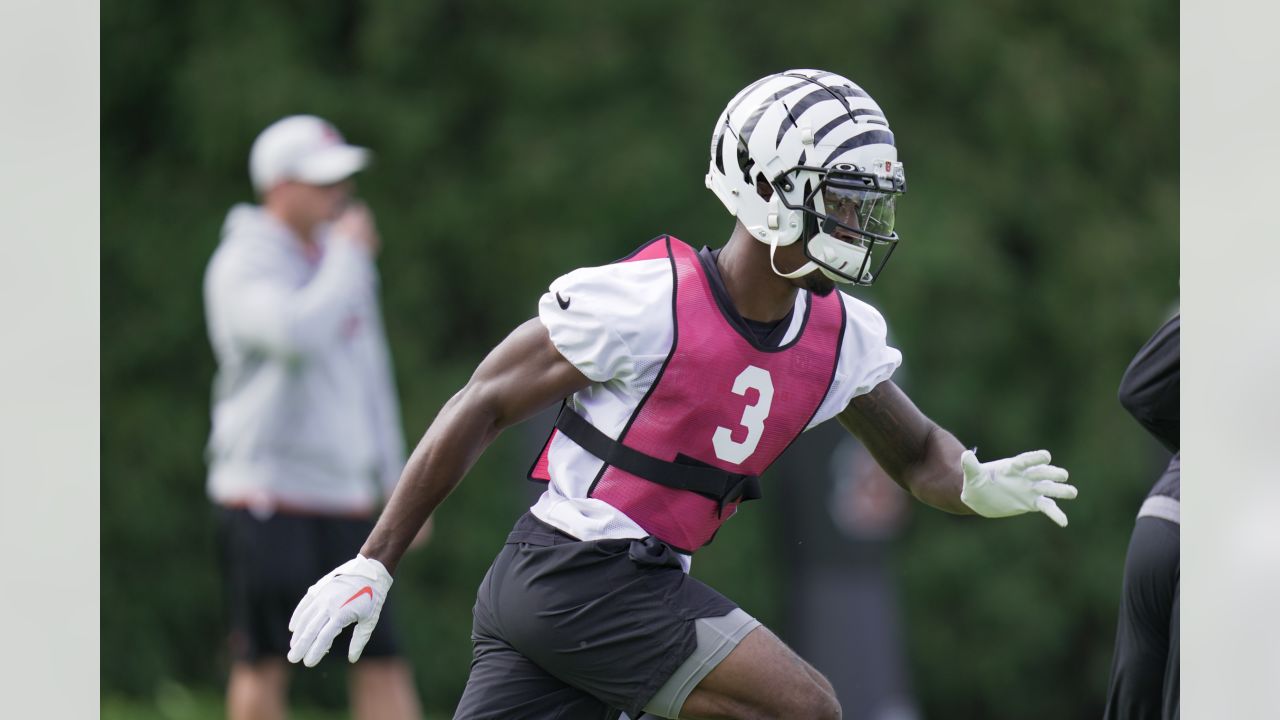 Photos: White Bengal Helmets Spotted in Cincinnati