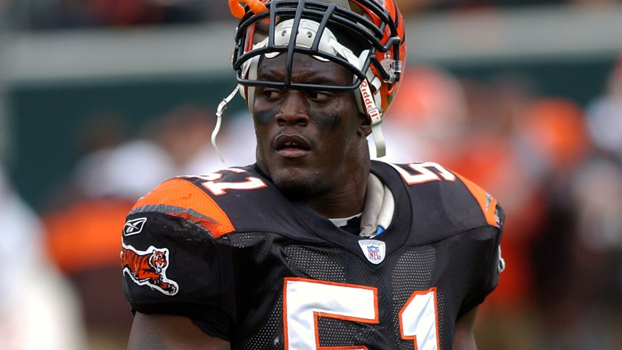 Johnson, Anderson headline former Bengals named Pro Football Hall of Fame  Class of 2023 nominees