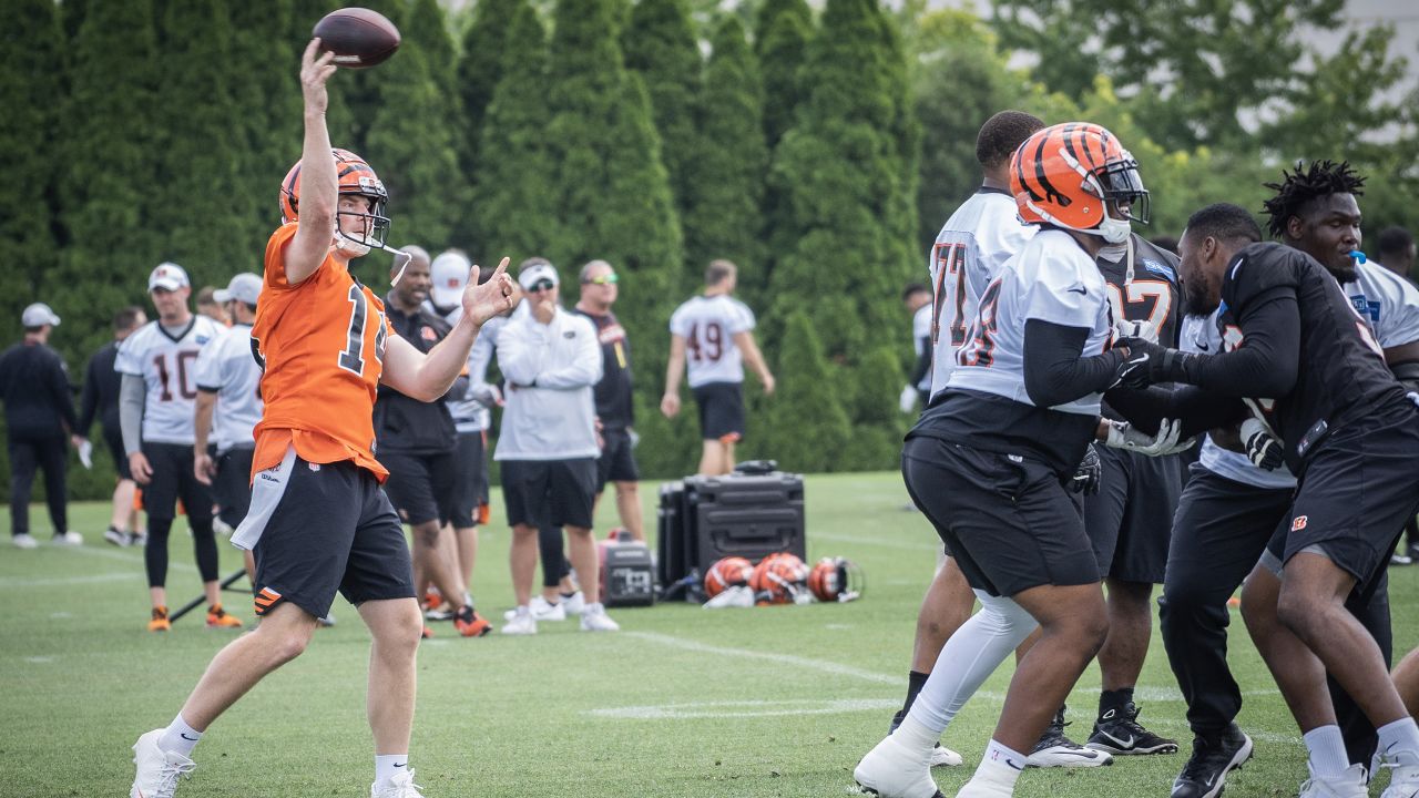 Bengals second-round pick Drew Sample impresses at rookie minicamp - Cincy  Jungle