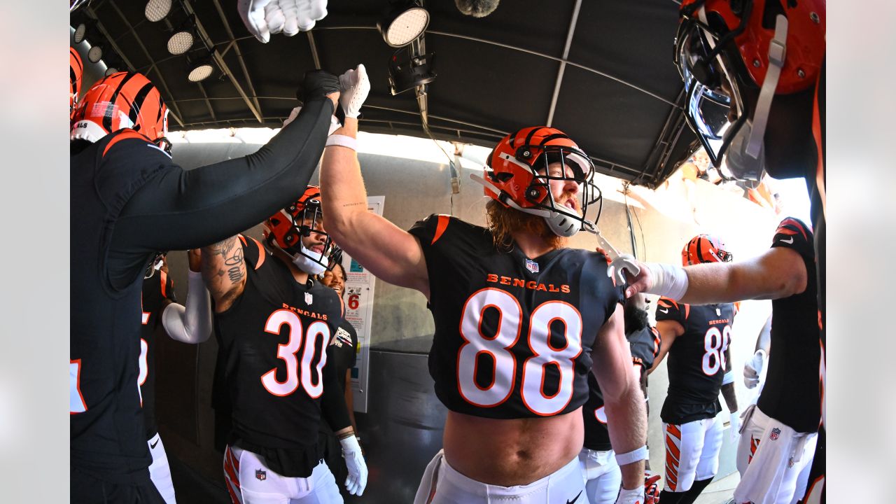 Throwback Game Recap; Bengals Defeat Falcons at Home, 35-17