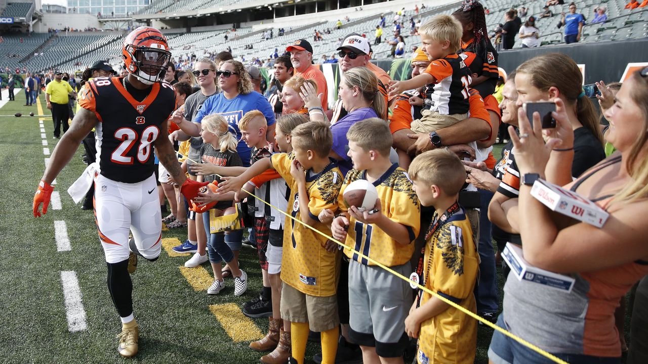 Best Photos of 2019: Bengals Fans