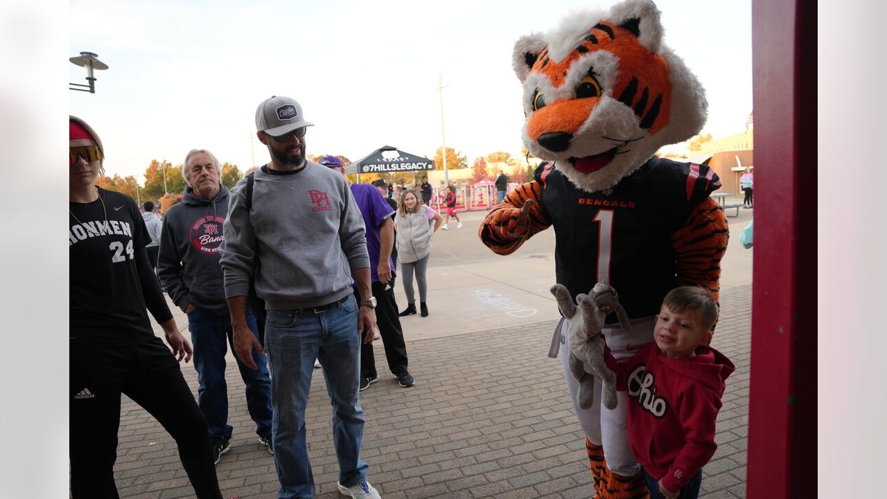 Cincinnati Bengals: Friday Night Stripes to visit Kettering for  Alter-Fairmont game