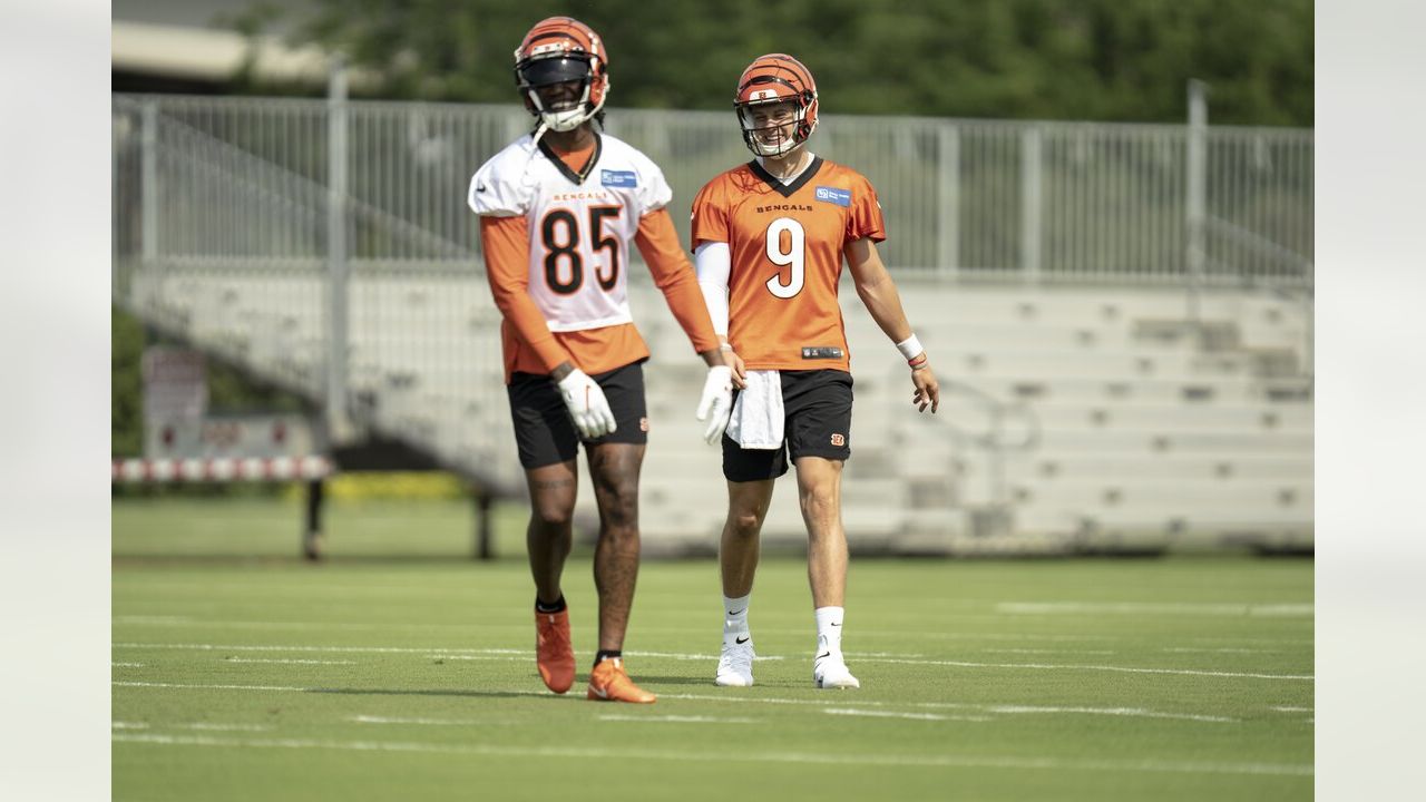 Gallery: Cincinnati Bengals training camp, 8/18