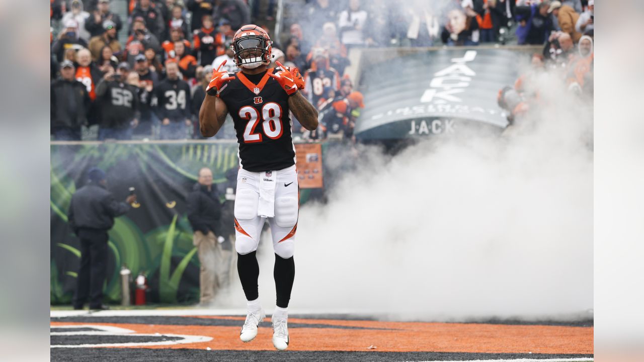 Recap: Cincinnati Bengals 30, Oakland Raiders 16