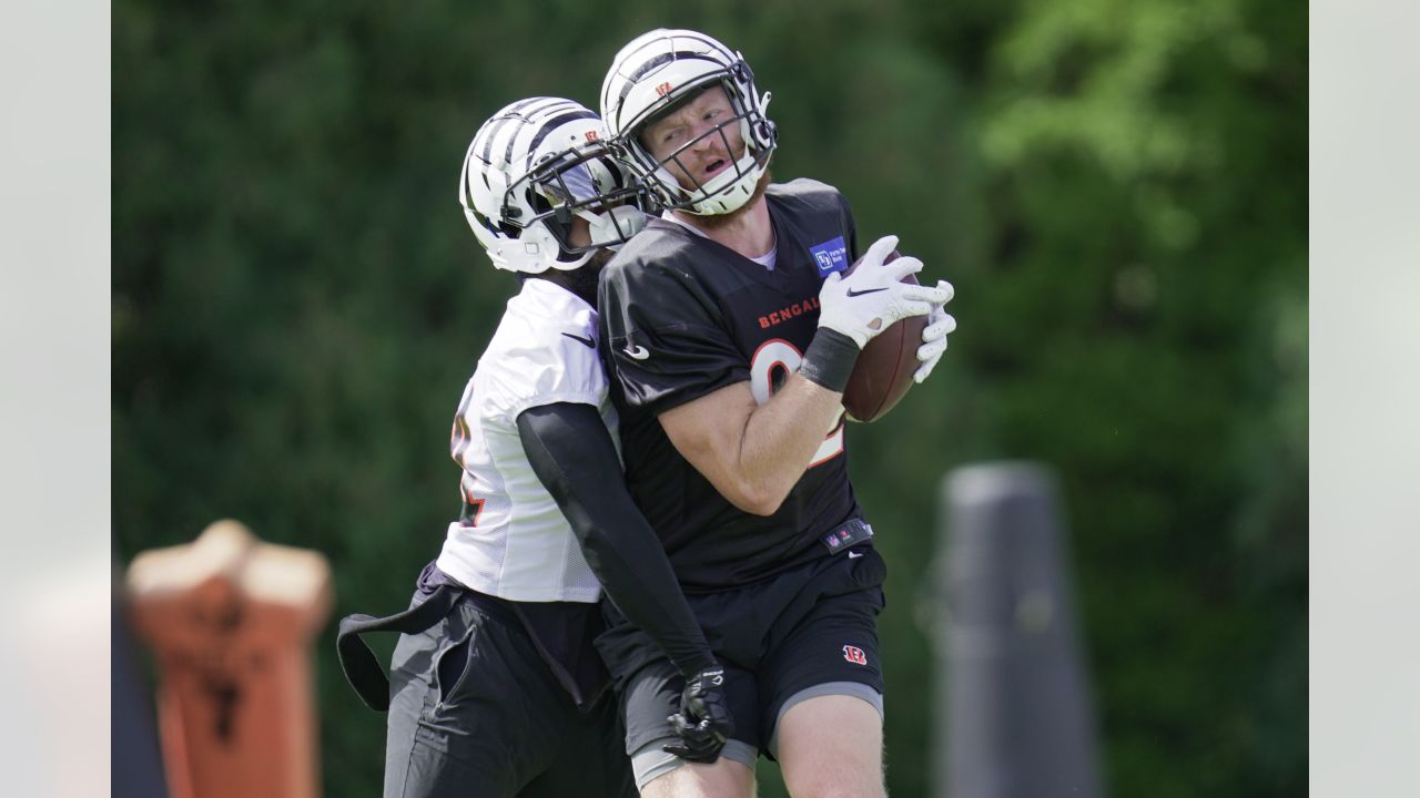 Photos: White Bengal Helmets Spotted in Cincinnati