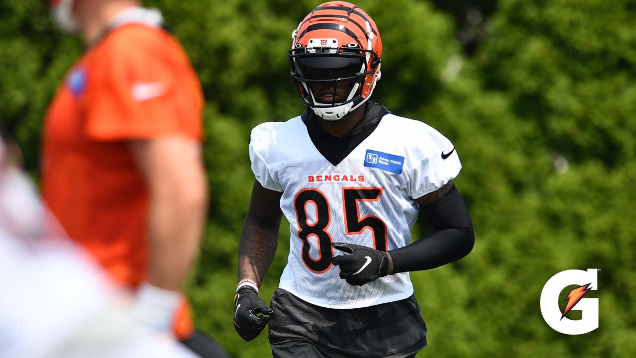 Boomer Esiason thinks Bengals need to 'tone down' uniform look: 'They are  just horrific'