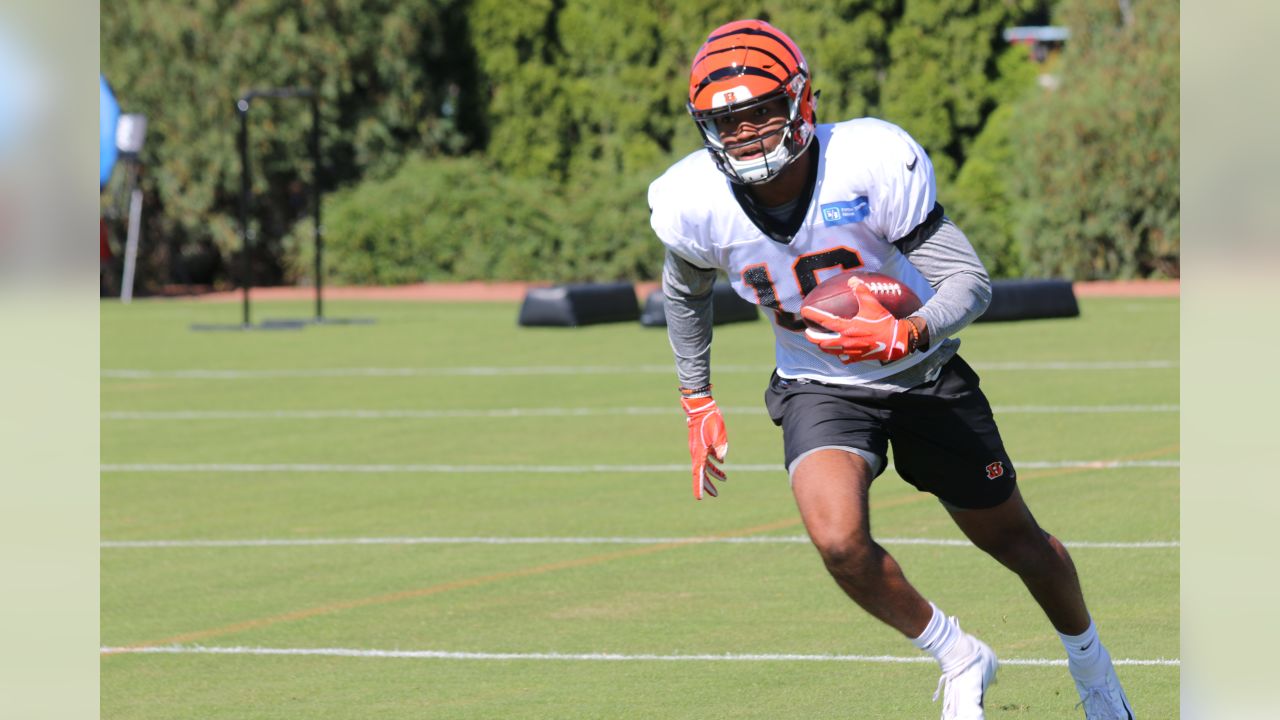 My heart says yesthese skinny jean legs say no': Whitworth shoots down  potential return to Bengals