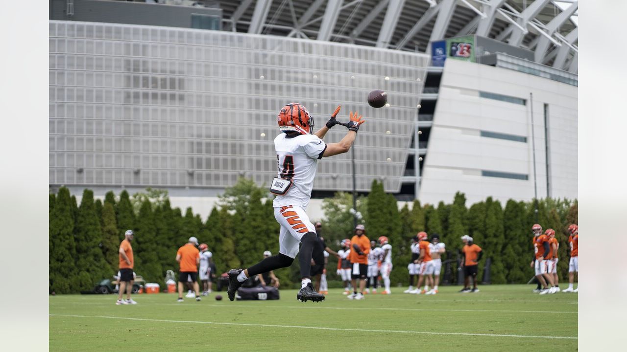 Cincinnati Bengals' Tyler Shelvin stands on the field during an NFL  football practice in Cincinnati, Tuesday, May 24, 2022. (AP Photo/Aaron  Doster Stock Photo - Alamy