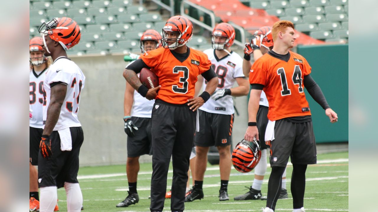 Wide receiver T.J. Houshmandzadeh of the Cincinnati Bengals shushes