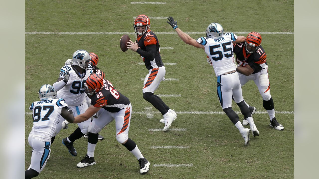 Photo Gallery: Bengals vs. Panthers Week 3