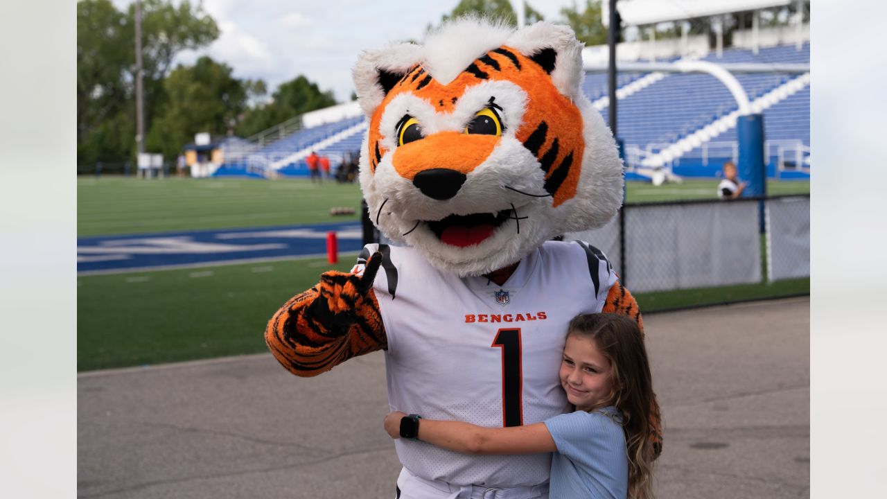 Cincinnati Bengals: Friday Night Stripes to visit Kettering for  Alter-Fairmont game