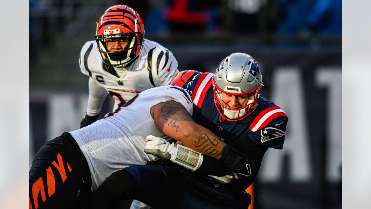 Photos: Patriots vs. Bengals Week 16