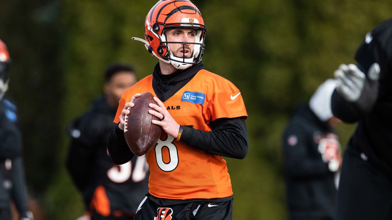 Bengals put Joe Burrow on IR, sign Brandon Allen and Quinton Spain off  practice squad - Cincy Jungle