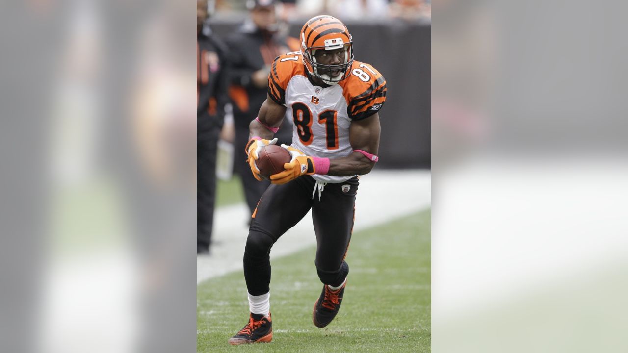 Madden 11: Terrell Owens as a Bengal