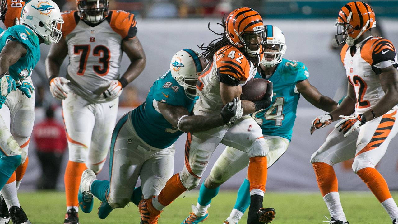 3,498 Miami Dolphins V Cincinnati Bengals Photos & High Res Pictures -  Getty Images