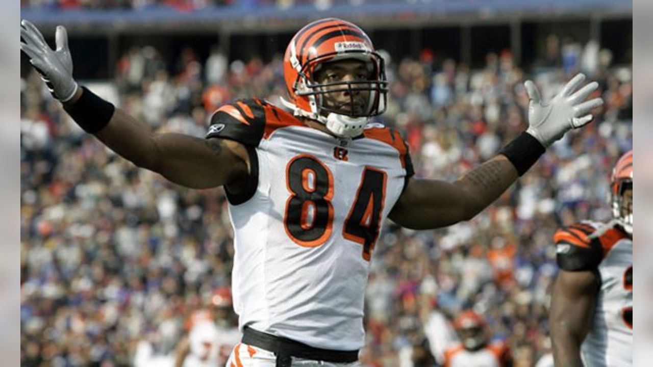 464 Cincinnati Bengals Tj Houshmandzadeh Photos & High Res Pictures - Getty  Images