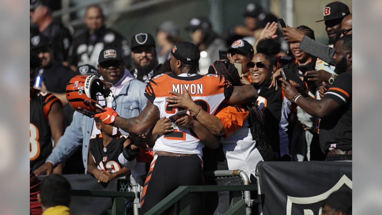 Oakland, California, USA. 17th Nov, 2019. Cincinnati Bengals wide receiver Auden  Tate (19) was taken off the field after getting hurt in a play with Oakland  Raiders safety Curtis Riley (35), during