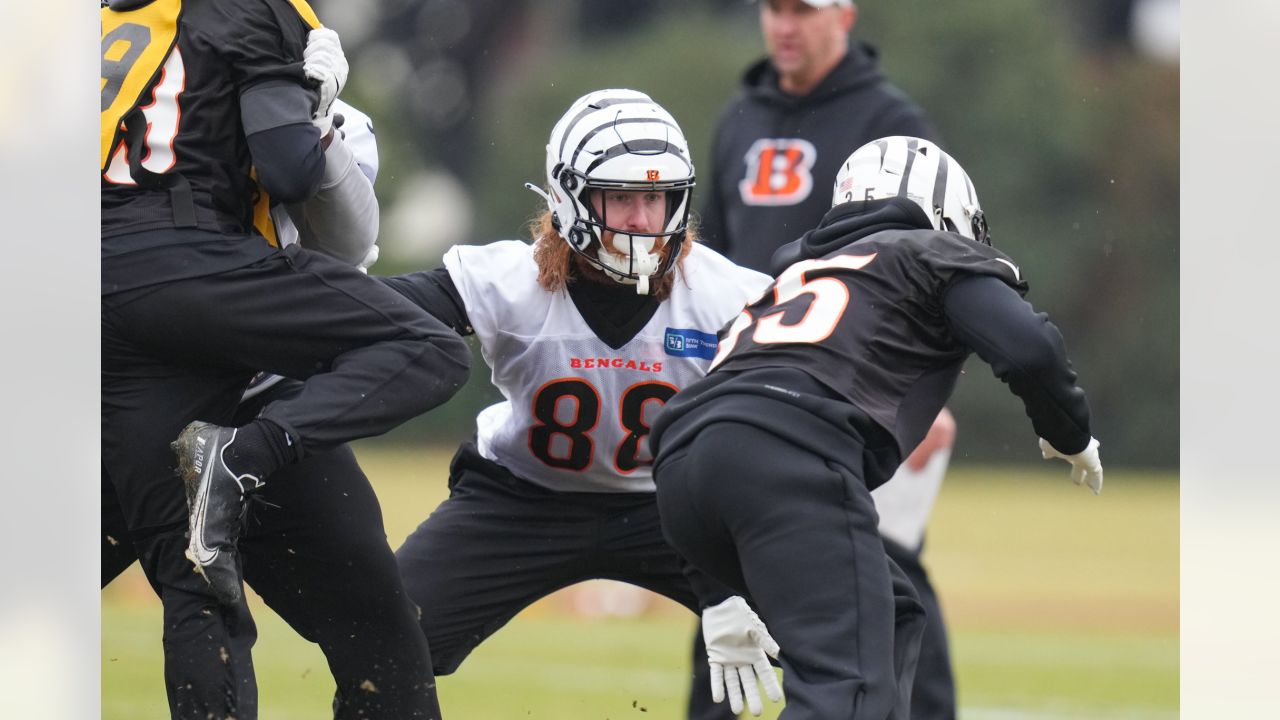 ❄️ ICY ❄️ The @Bengals are bringing back their White Bengal look today in  Pittsburgh