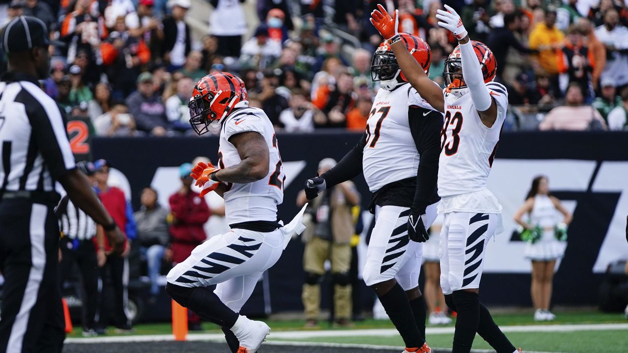 Cincinnati Bengals fans show off their Bengals gear as they tailgate before  an NFL football game against the Miami Dolphins, Thursday, Sept. 29, 2016,  in Cincinnati. (AP Photo/Frank Victores Stock Photo - Alamy