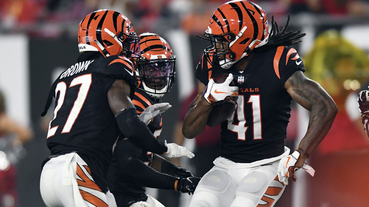 Tampa Bay Buccaneers wide receiver Mike Evans (13) plays against the  Cincinnati Bengals in a pre-season NFL football game, Saturday, Aug. 14,  2021 in Tampa, Fla. (AP Photo/Alex Menendez Stock Photo - Alamy