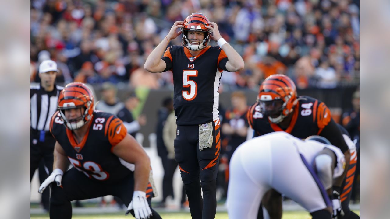 Bengals News (8/27): Ryan Finley among rookie quarterbacks to impress  during preseason - Cincy Jungle