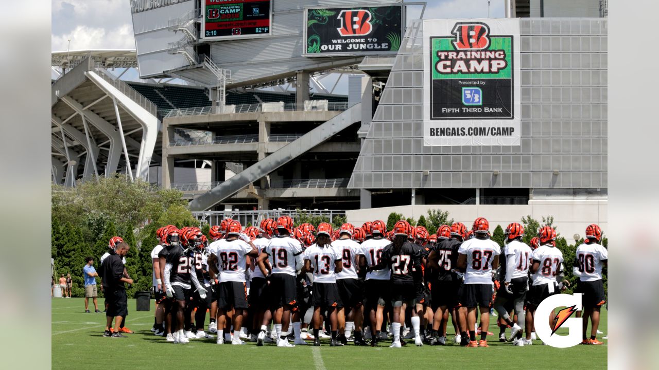 PHOTOS: Cincinnati Bengals training camp, 8/4