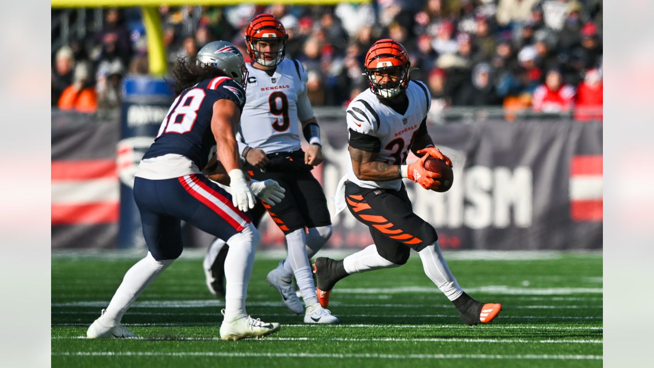 Patriots wake up to throttle Bengals 43-17