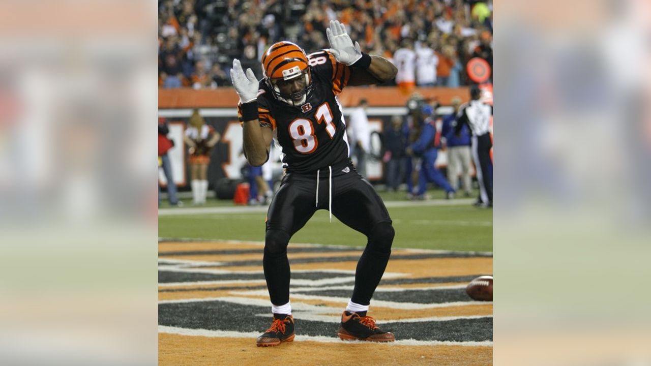 Photo: Bengals Receiver Terrell Owens In Preseason Game - CLV2010080816 