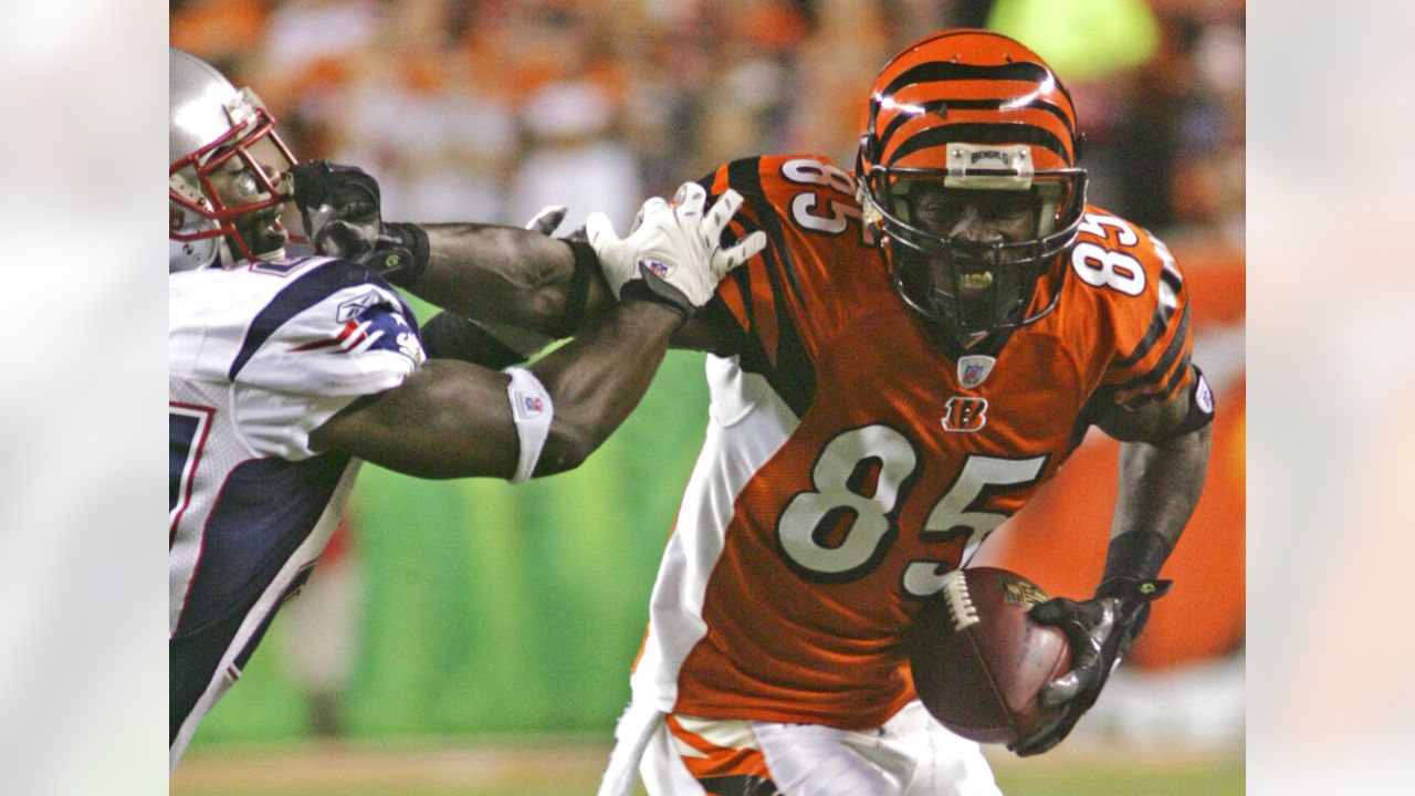 Cincinnati wide receiver Chad Ochocinco (85) during game action at