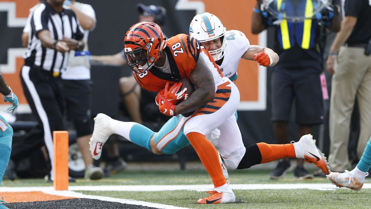 Gallery: Bengals-Dolphins Through The Years