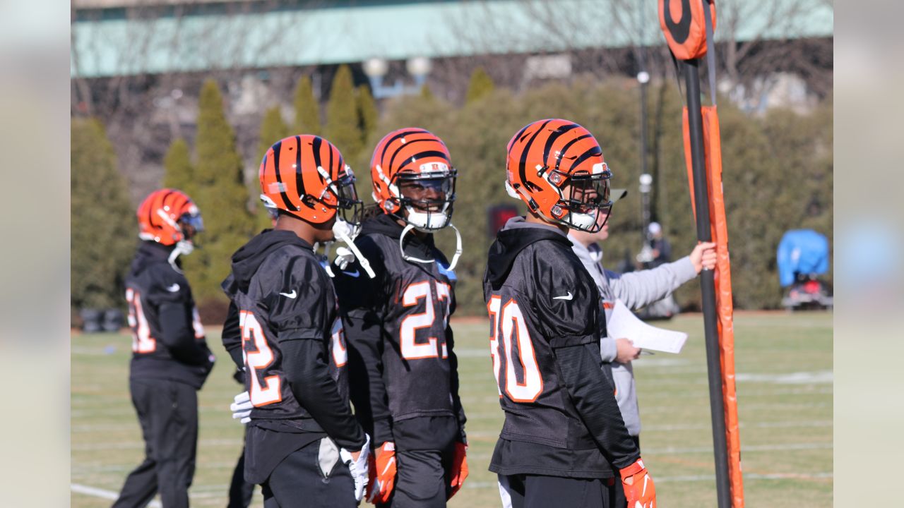 Chris Worley Promoted to the Cincinnati Bengals Active Roster From