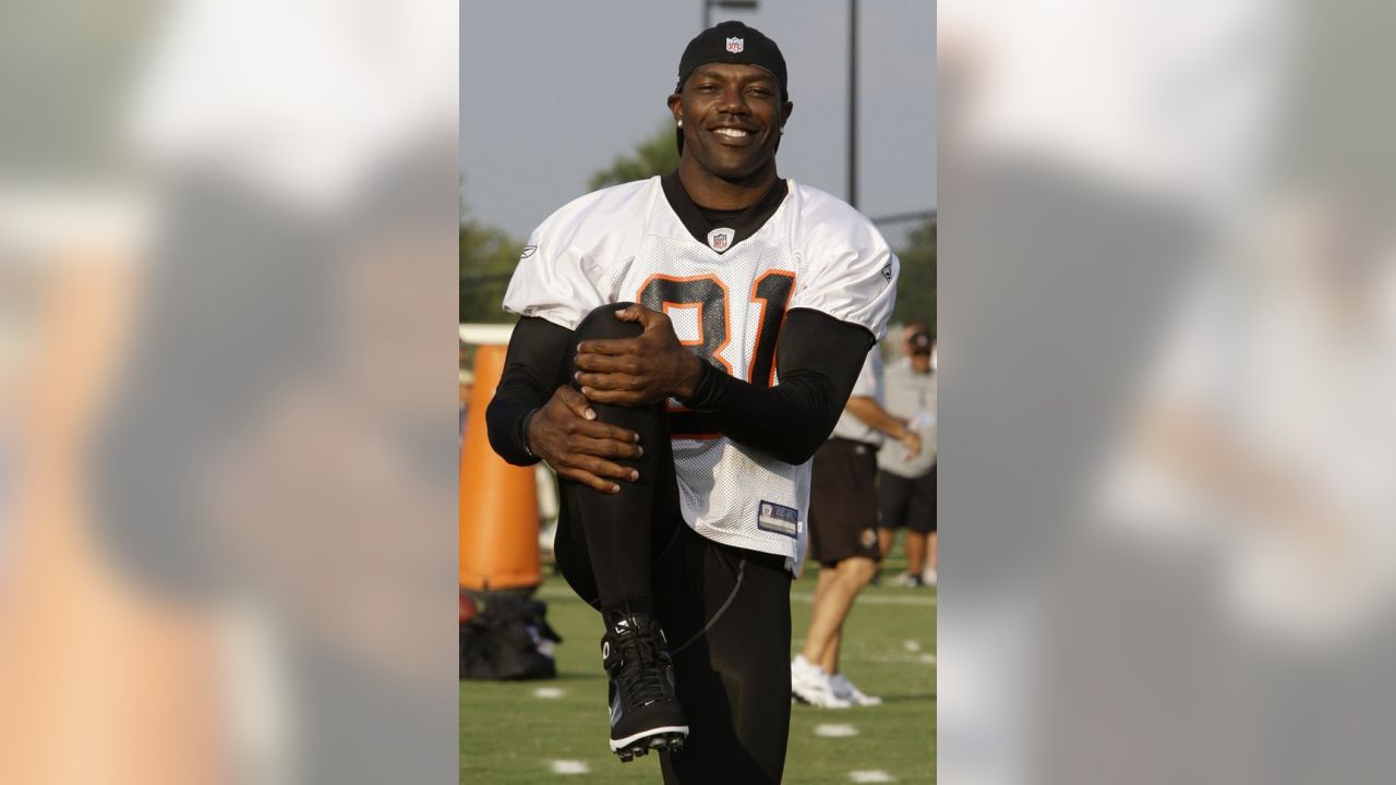 Cincinnati Bengals wide receiver Terrell Owens (81) in action during  football training camp during the NFL football team's practice, Thursday,  July 29, 2010, in Georgetown, Kentucky. (AP Photo/Al Behrman Stock Photo -  Alamy