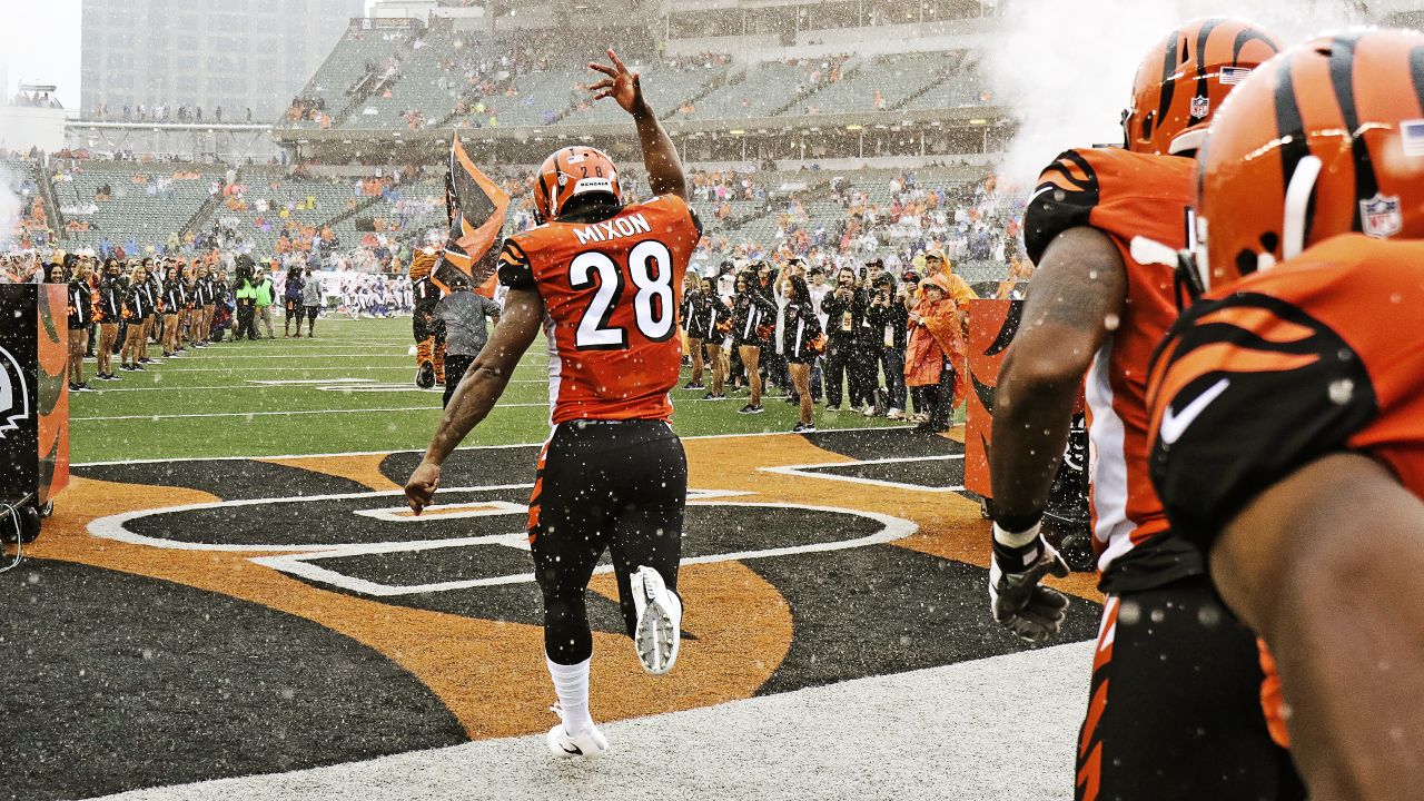 Cincinnati, OH, USA. 29th Dec, 2019. Joe Mixon (28) of the Cincinnati  Bengals celebrates his touchdown during a game between the Cleveland Browns  and the Cincinnati Bengals at Paul Brown Stadium on