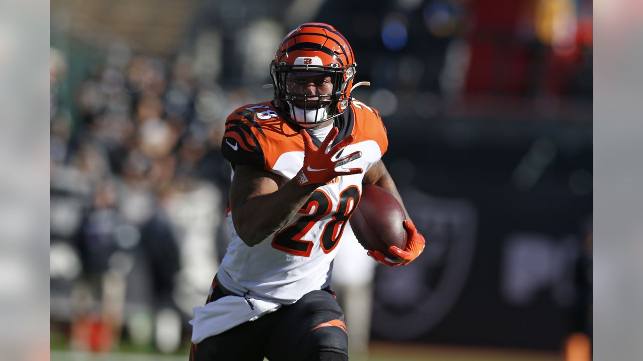 The Bengals fell to the Oakland Raiders 17-10 in Week 11.