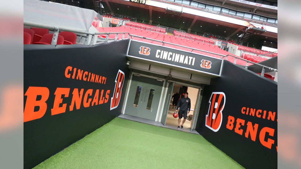 Richard Graves and Cincinnati Bengals fans make their NFL predictions, NFL  News