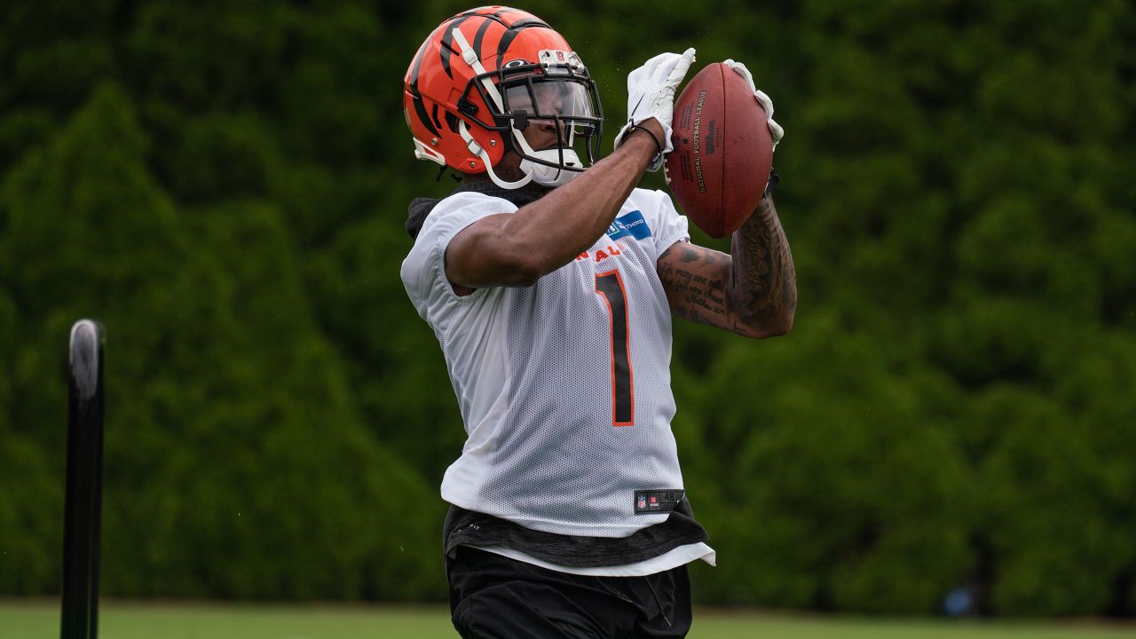 Bengals Notebook: Tee Higgins looks to make a major leap