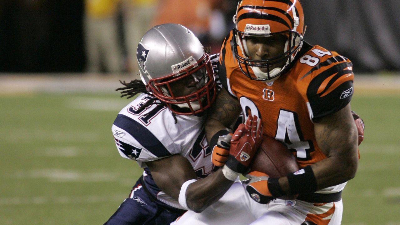 cincinnati bengals patriots